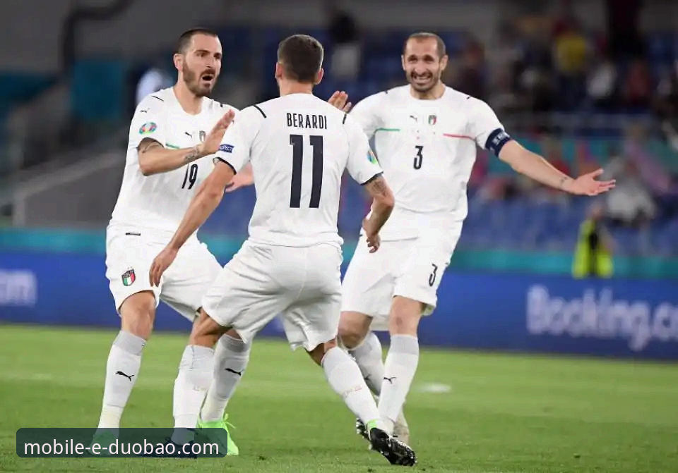 通过多宝体育APP实时数据，深度解析意大利队世界杯出局始末的完整指南
